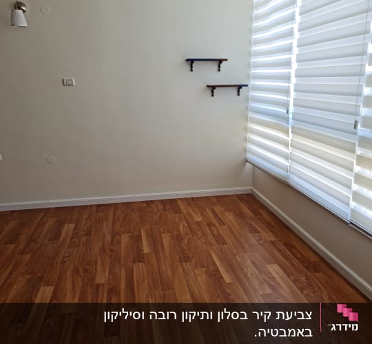 צביעת קיר בסלון ותיקון רובה וסיליקון באמבטיה.